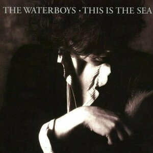 This Is the Sea by The Waterboys