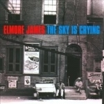 Sky Is Crying by Elmore James