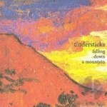 Falling Down a Mountain by Tindersticks
