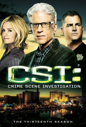 CSI: Crime Scene Investigation  - Season 13