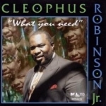 What You Need by Rev Cleophus Robinson Jr