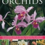 Orchids