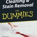 Cleaning and Stain Removal For Dummies