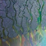 An Awesome Wave by Alt-J