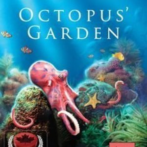 Octopus&#039; Garden
