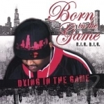 Born In The Game Dying In The Game by Big Dig