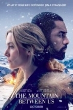 The Mountain Between Us (2017)