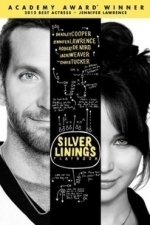 Silver Linings Playbook (2012)