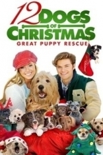 12 Dogs of Christmas: Great Puppy Rescue (2004)