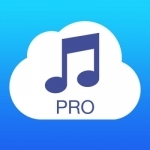 Musicloud Pro - MP3 &amp; FLAC Music Player for Clouds