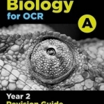 OCR A Level Biology A Year 2 Revision Guide: Year 2