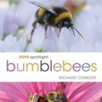 RSPB Spotlight Bumblebees