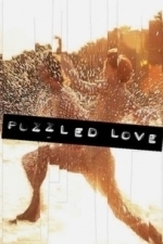 Puzzled Love (2011)