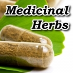 Medicinal Herbs Encyclopedia