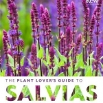 The Plant Lover&#039;s Guide to Salvias