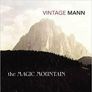 The Magic Mountain by Thomas Mann