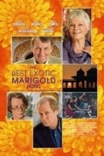 The Best Exotic Marigold Hotel (2012)