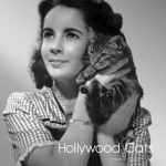 Hollywood Cats: Photographs from the John Kobal Foundation