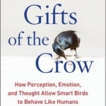 Gifts of the Crow: How Perception, Emotion, and Thought Allow Smart Birds to Behave Like Humans