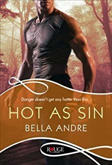 Hot as Sin (Hot Shots: Men of Fire, #2)