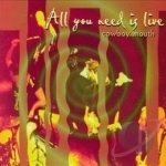 All You Need Is Live by Cowboy Mouth