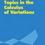 Topics in the Calculus of Variations