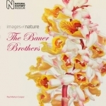 The Bauer Brothers: Images of Nature