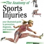 Sports Injuries: Your Illustrated Guide to Prevention, Diagnosis and Treatment