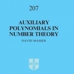 Auxiliary Polynomials in Number Theory