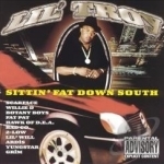 Sittin&#039; Fat Down South by Lil Troy