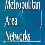 Metropolitan Area Networks: Statistical Mechanics and Cybernetic Perspectives