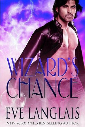 Wizard&#039;s chance ( The Realm book 1)