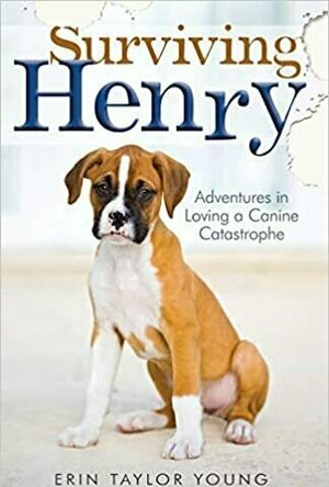 Surviving Henry: Adventures in Loving a Canine Catastrophe