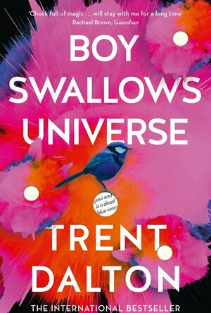 Boy Swallows Universe