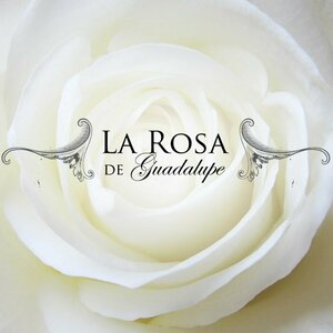 La Rosa de Guadalupe