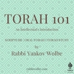 TORAH 101 - By Rabbi Yaakov Wolbe