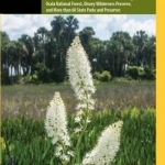 Central Florida Wildflowers: A Field Guide to Wildflowers of the Lake Wales Ridge, Ocala National Forest, Disney Wilderness Preserve, and More Than 60 State Parks and Preserves