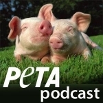 PETA&#039;s Podcast