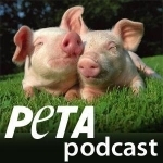 PETA's Podcast