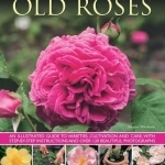 Old Roses: an Illustrated Guide to Varieties, Cultivation and Care, with Step-by-step Instructions and Over 120 Beautiful Photographs
