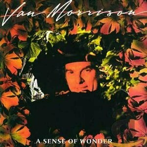 A Sense of Wonder by Van Morrison