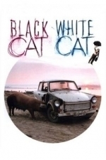 Crna macka, beli macor (Black Cat, White Cat) (1999)