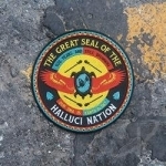 We Are the Halluci Nation by Tribe Called Red