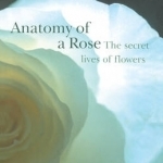 Anatomy of A Rose: The Secret Life of Flowers