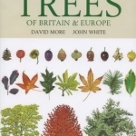 Illustrated Trees of Britain and Northern Europe: A Complete Guide to the Trees of Britain and Northern Europe