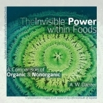 The Invisible Power Within Foods: A Comparison of Organic &amp; Nonorganic