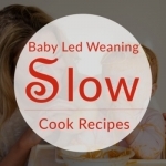 BLW Slow Cook Recipes