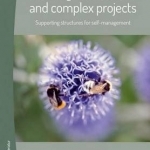 Leading in Uncertain and Complex Projects: Supporting Structures for Self-Management