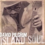 Island Soul by David Pilgrim