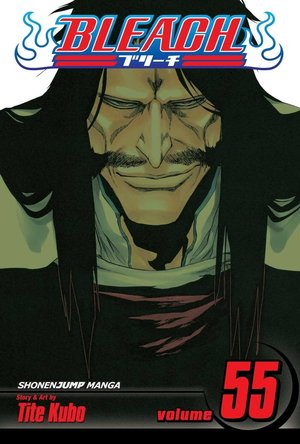 Bleach Vol. 55: The Blood Warfare